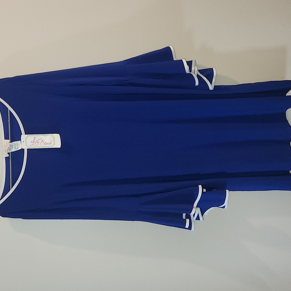 NWT Ivy Road Goddess Blue Dress